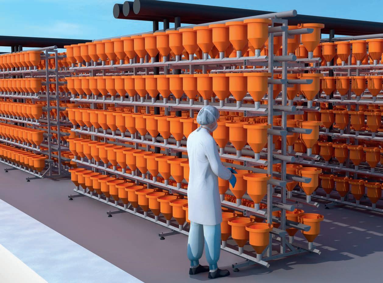 Cover for Will the UK embrace gene editing?