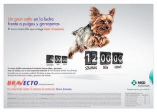 Cover for Resultado del VIII Concurso de publicidad Ateuves