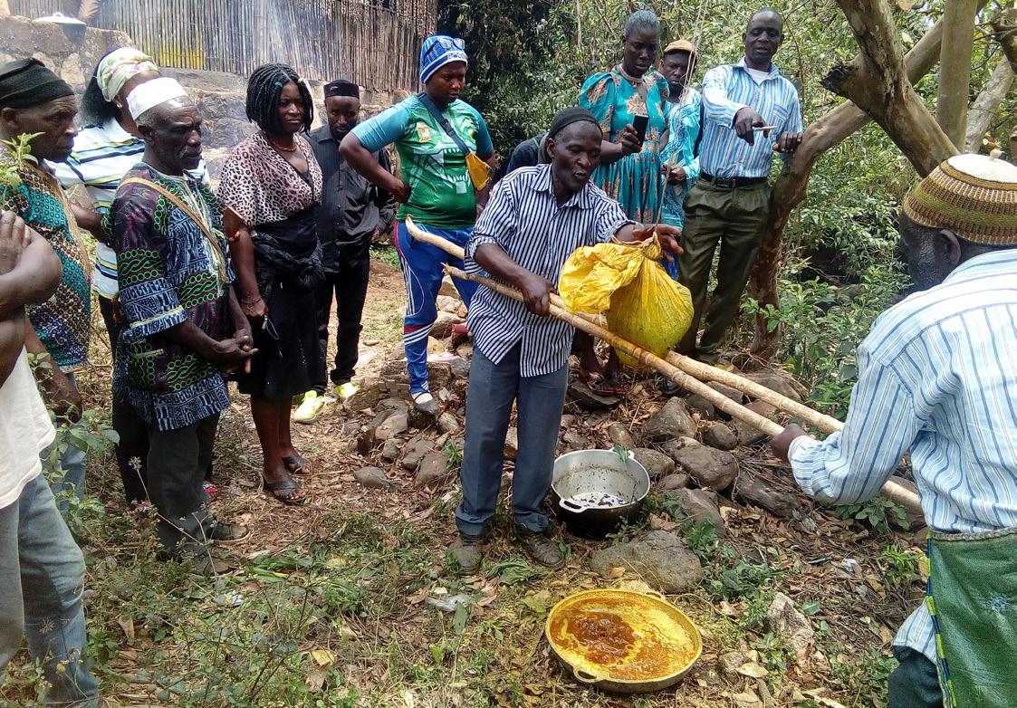 Cover for The Benefits of Beekeeping