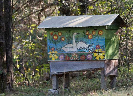 Cover for Happiness is a Horizontal Hive