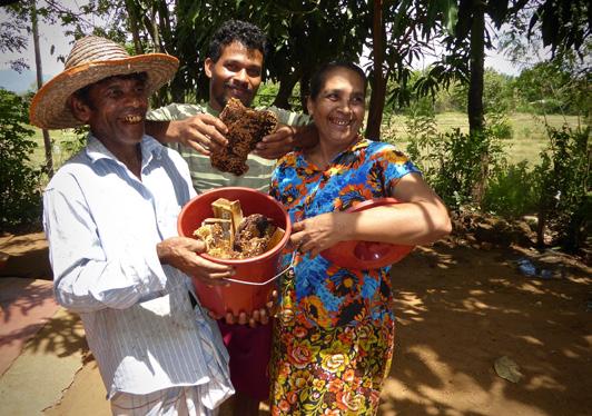 Cover for Notice Board