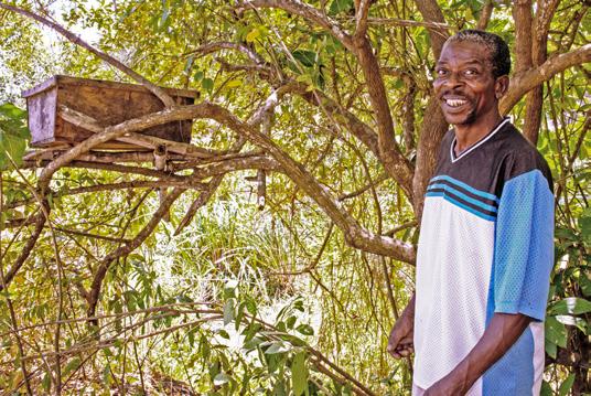 Cover for Increased income from beekeeping