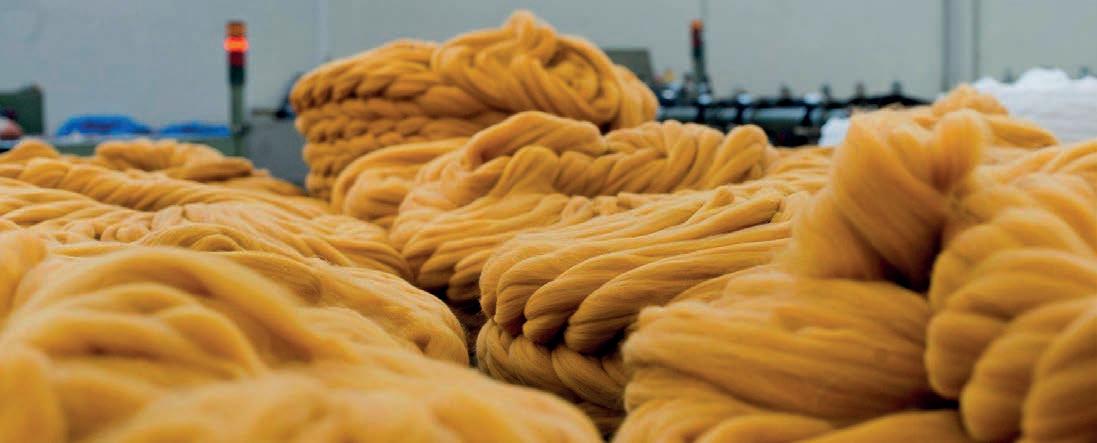 Cover for Seasons of sustainability