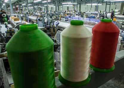 Cover for Tessitura Italia, sguardo al futuro