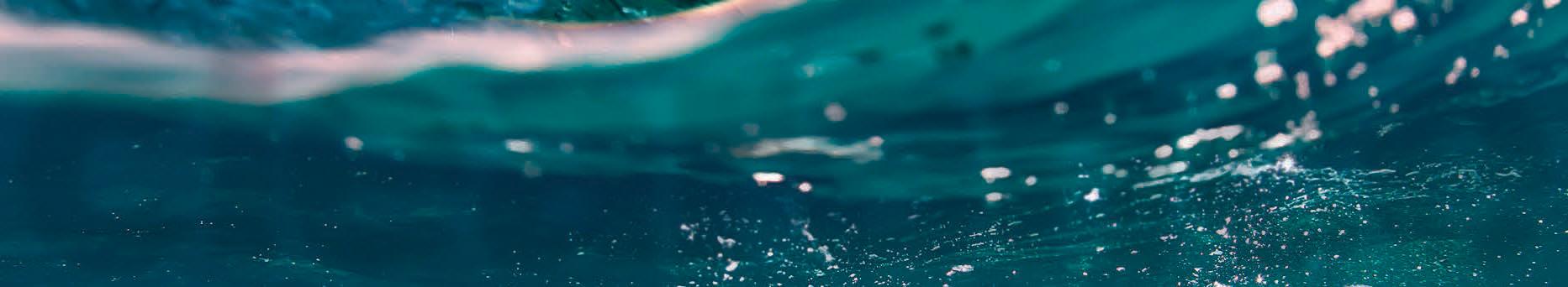 Cover for Oct. 25 Veterans Oct