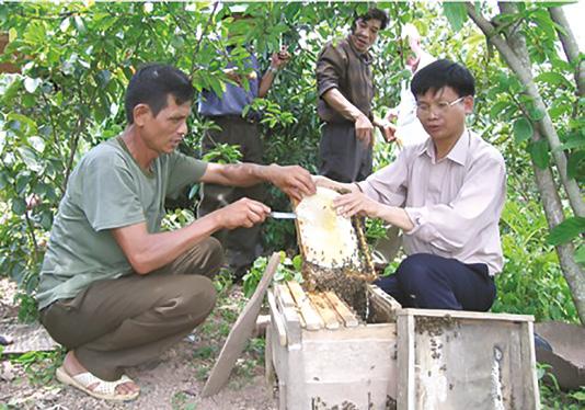 Cover for Beekeeper training in Vietnam