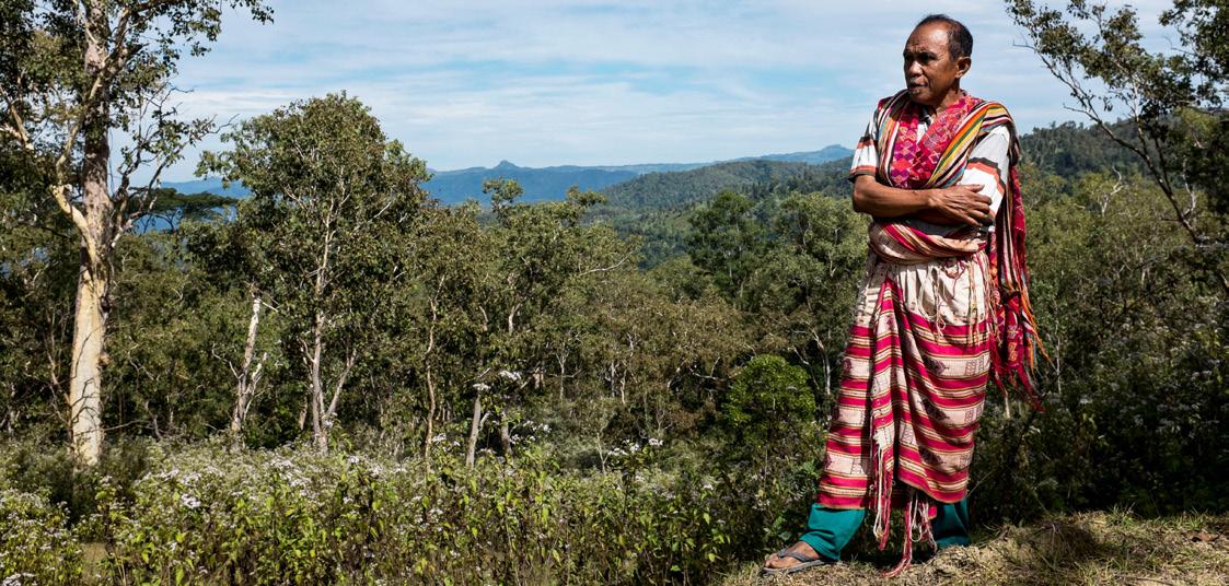 Cover for Wild honey harvest