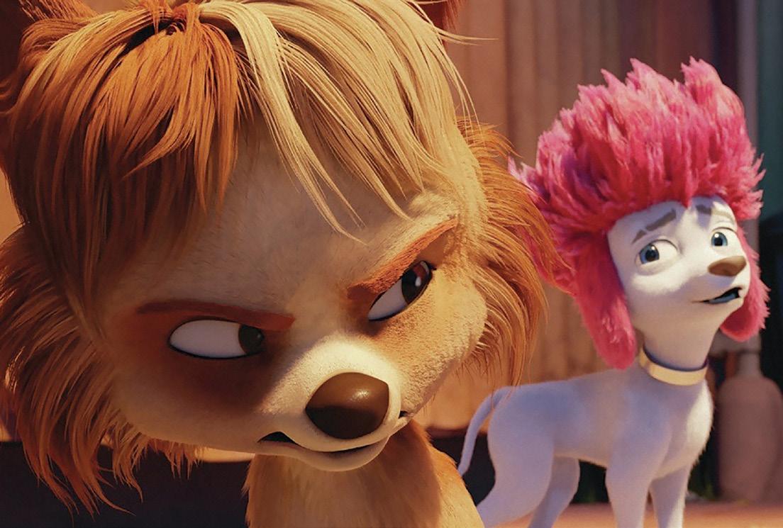 Cover for 100% Wolf Knofje