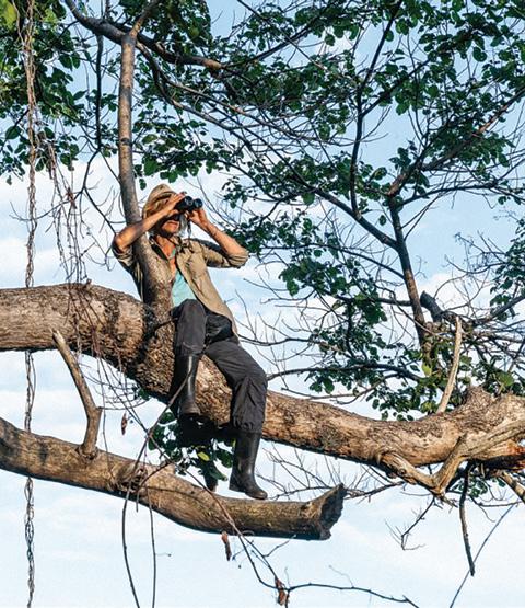 Cover for Mbudha, la source des chimpanzés