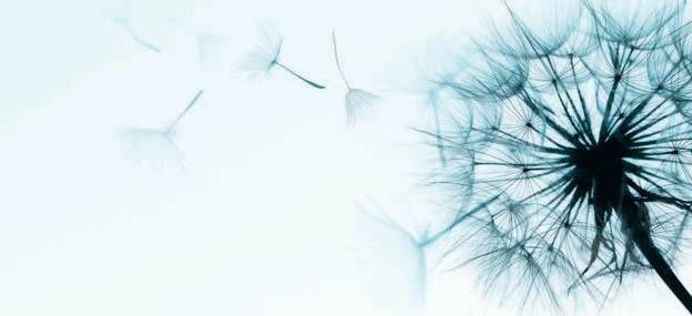 Cover for LES PROTAGONISTES