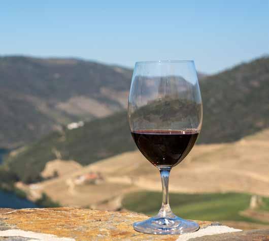 Cover for Those other Portuguese wines