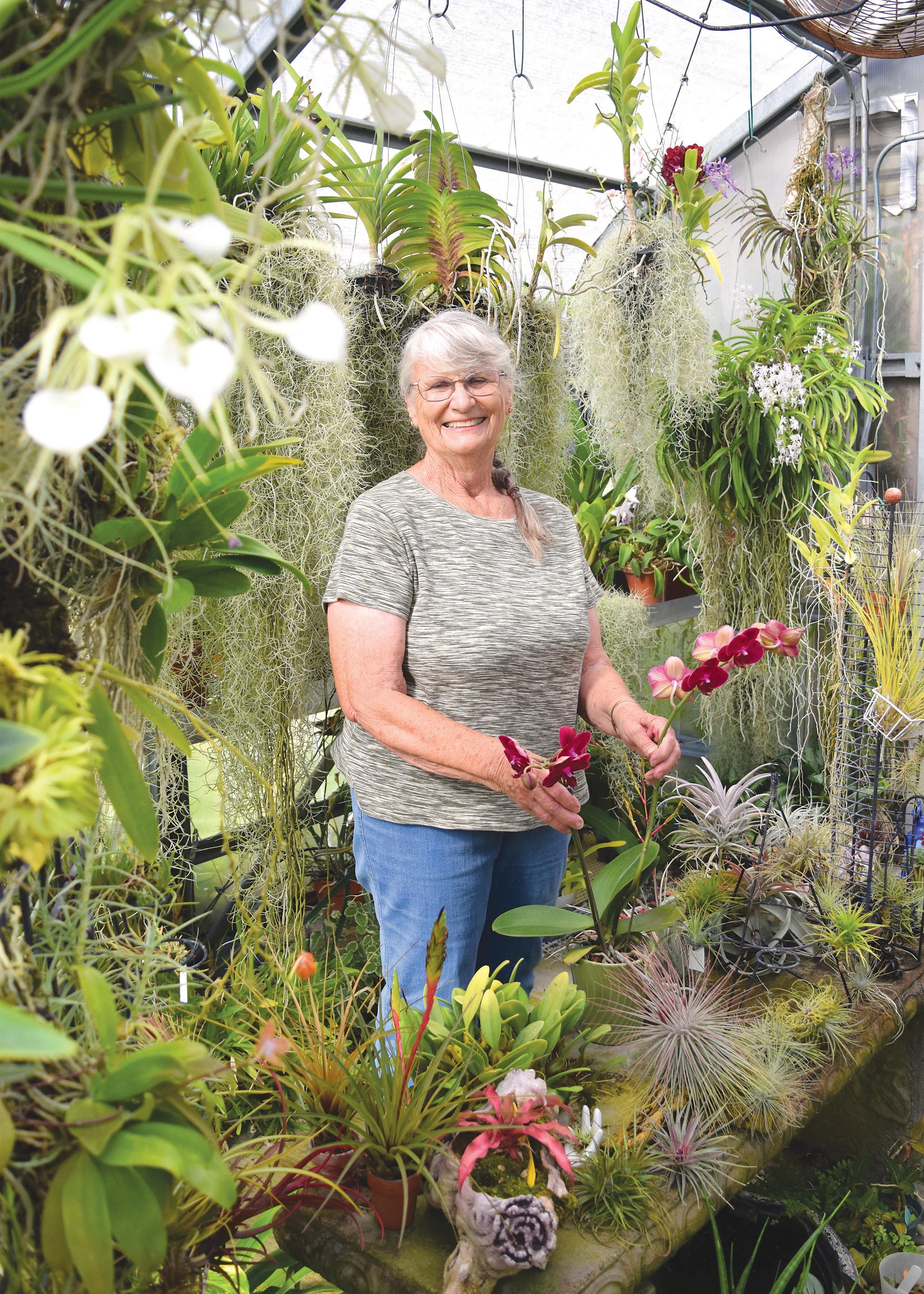 Cover for Garden Jabber