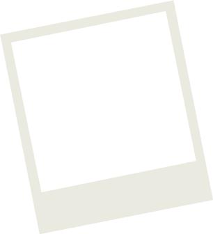 Cover for A snapshot of later life in Scotland