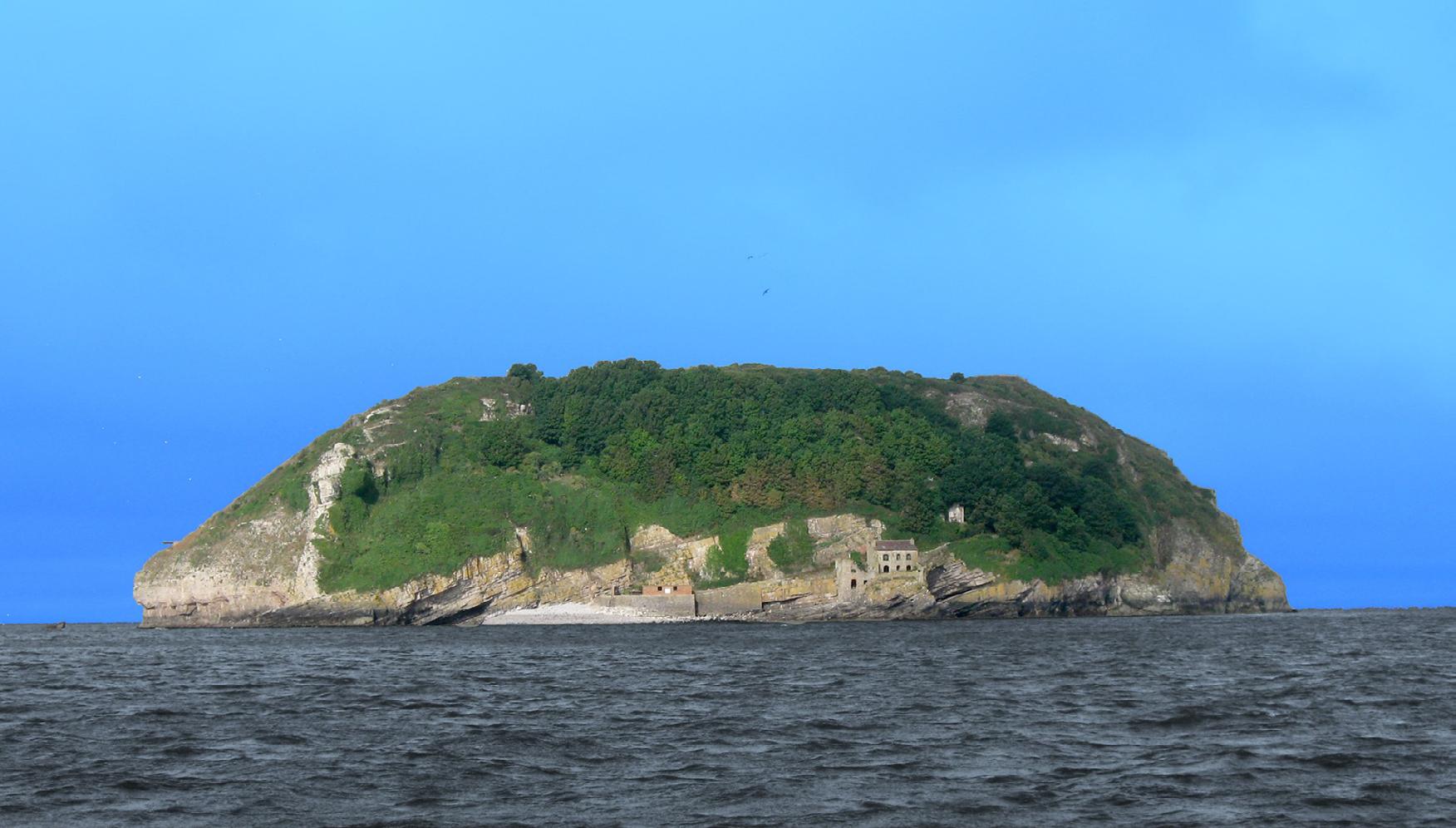 Cover for Steep Holm Island