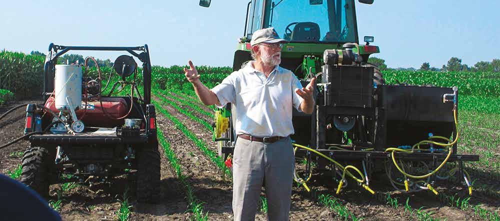 Cover for LA BATALLA CONTRA LAS MALEZAS