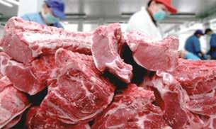 Cover for GANADERÍA Y COMPROMISO | 92. TAMBO