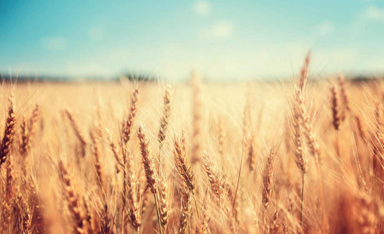 Cover for Market analysis