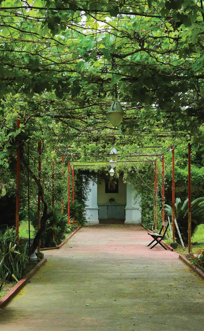 Cover for Testimonios. La parroquia: un lugar destacado en la vida - Marta Clivio