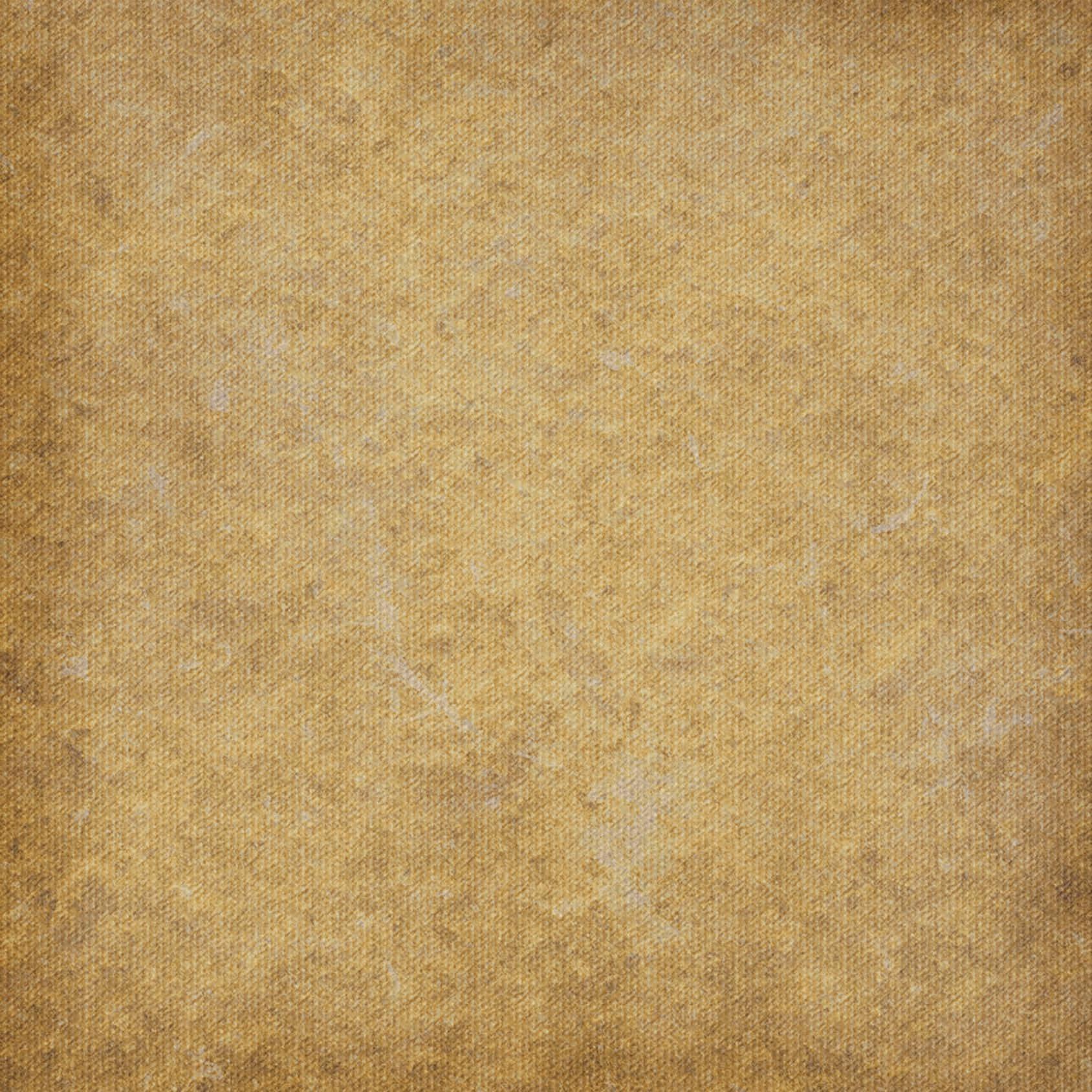 Cover for THE HAPPY LADIES OF WISCONSIN