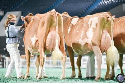 Cover for COULEE CREST LLC