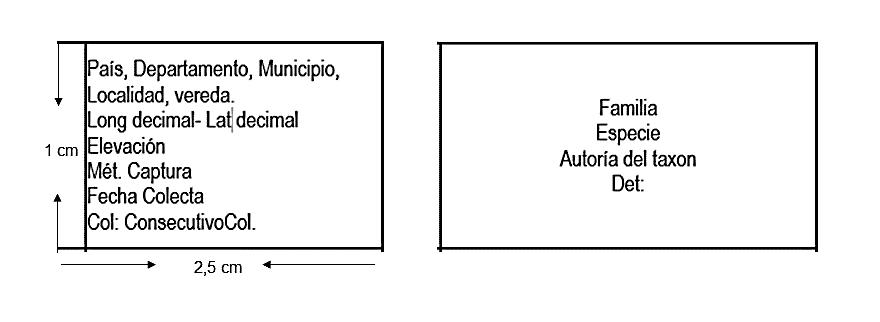 Protocolo de manejo Colección Entomológica Maria Sibylla Merian (CEMS Protocolo de manejo Colección Entomológica Maria Sibylla Merian (CEMS