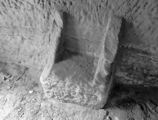 Cover for Explorador de proximidad ..................... 79 y