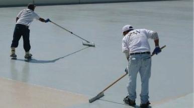 Cover for Product Focus