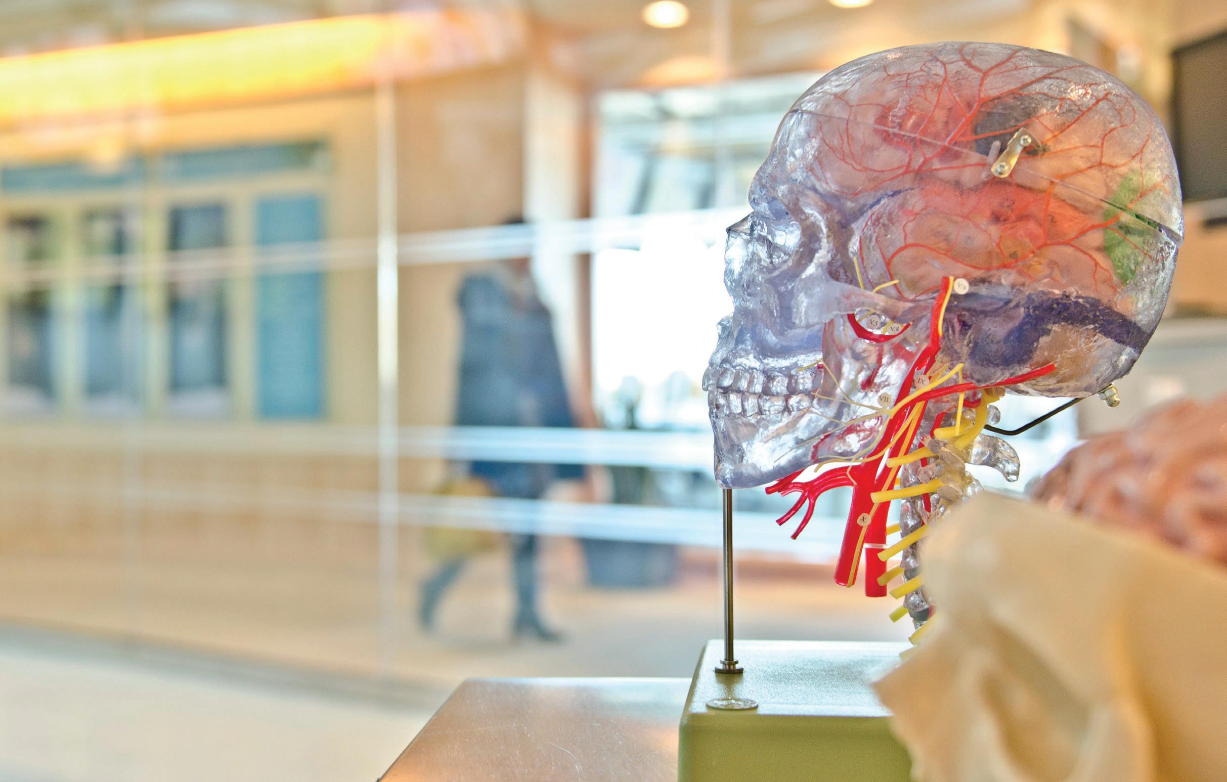 Cover for Furniture and Storage