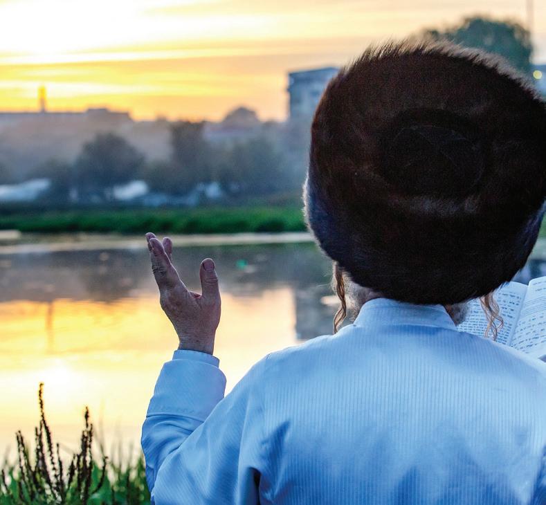 Cover for Roch Hachana 5782 : Lois & coutumes