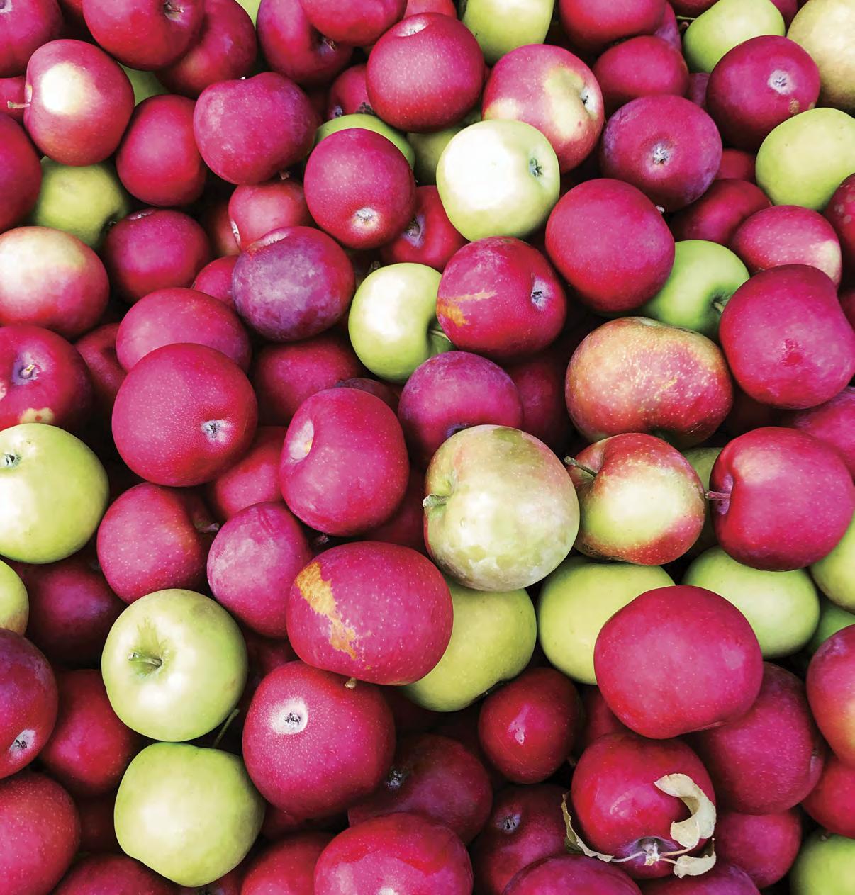 Say "Hello" To Hard Cider