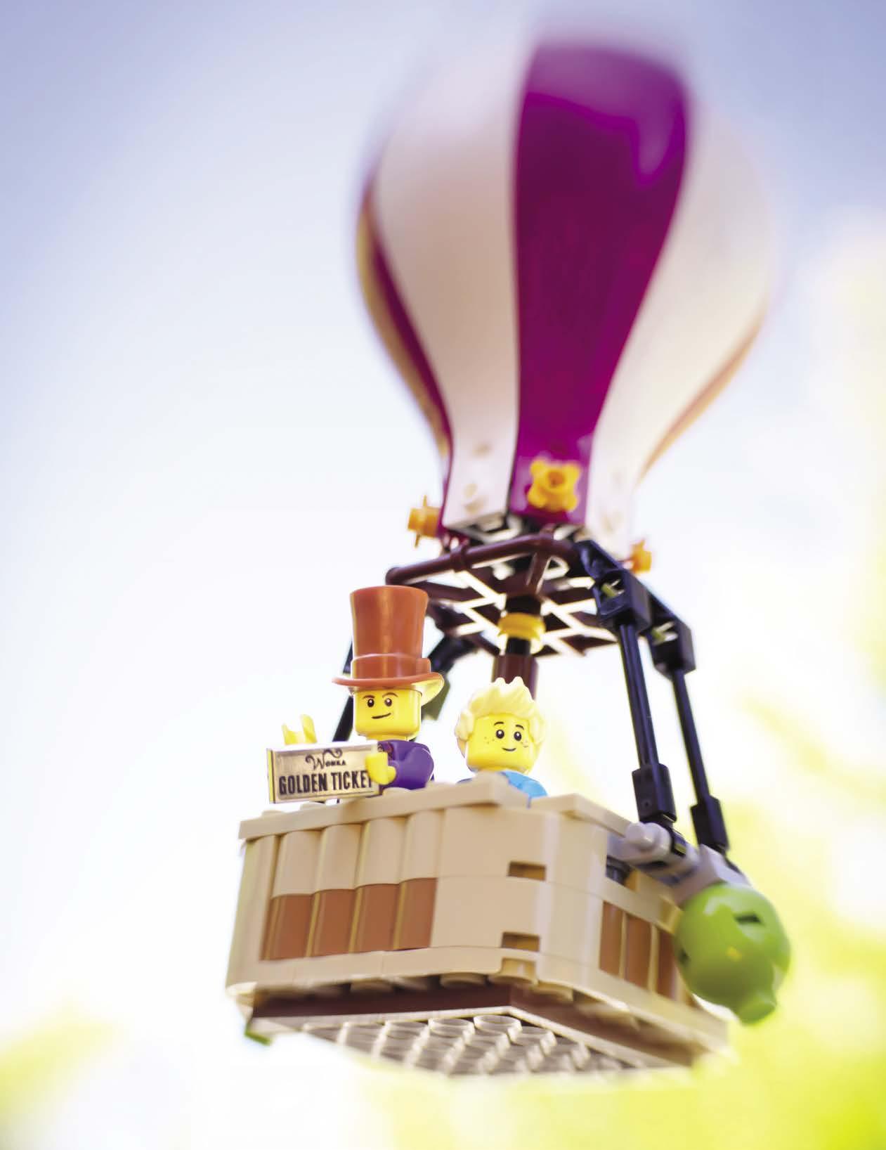 Cover for Introduction