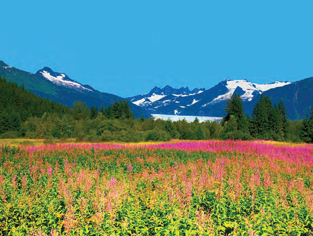 Cover for Mortgage Company