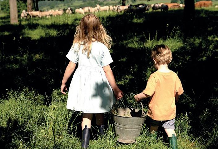 Cover for Two Counties