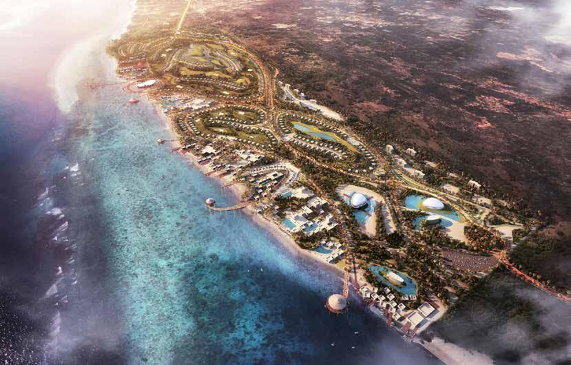 Cover for OPENING PARADISE TO THE WORLD