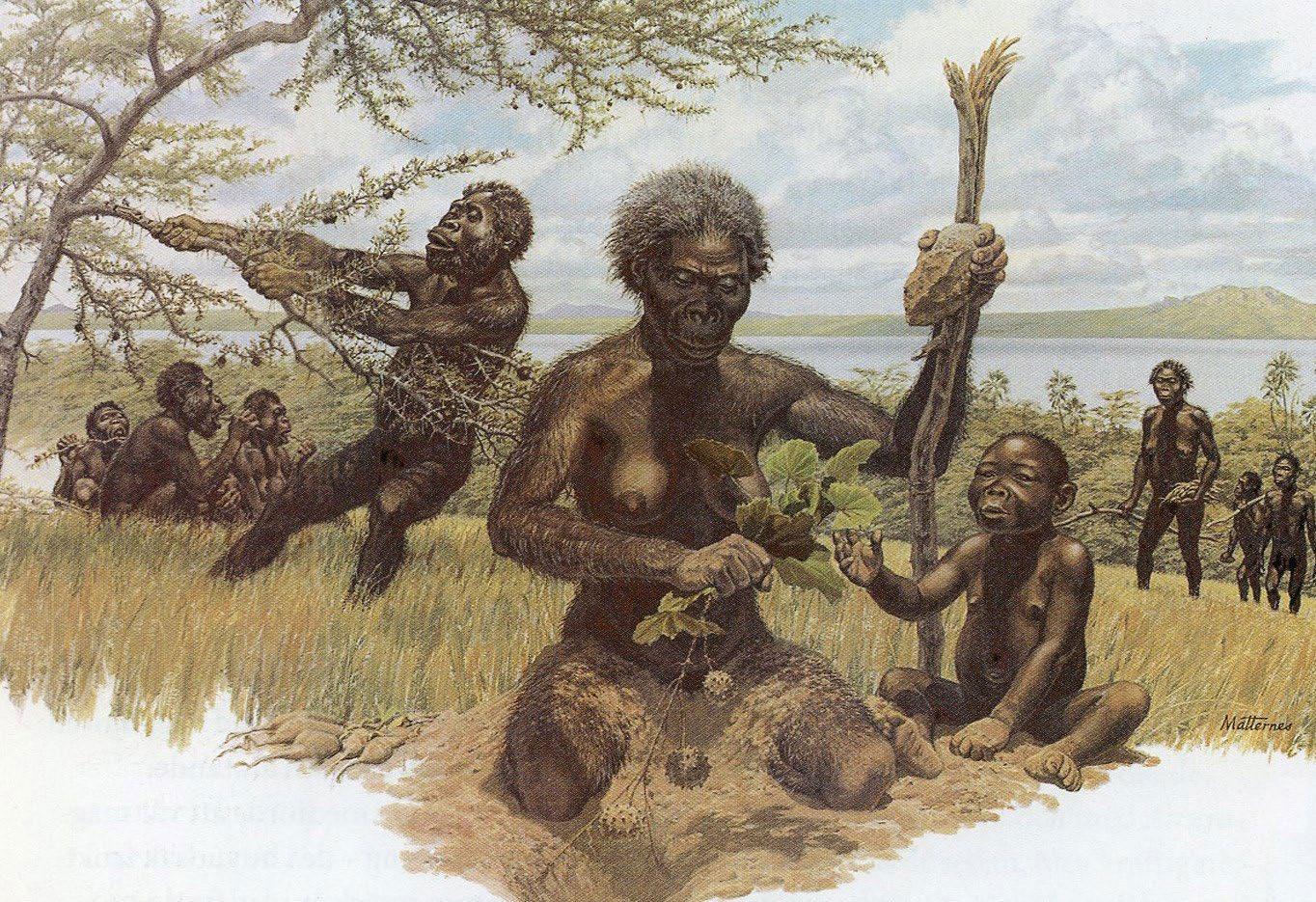 Cover for Människans biologiska förutsättningar och behov och det moderna samhällets krav och påfrestningar är inte förenliga – Om varför psykisk ohälsa blivit ett gigantiskt problem i vårt land