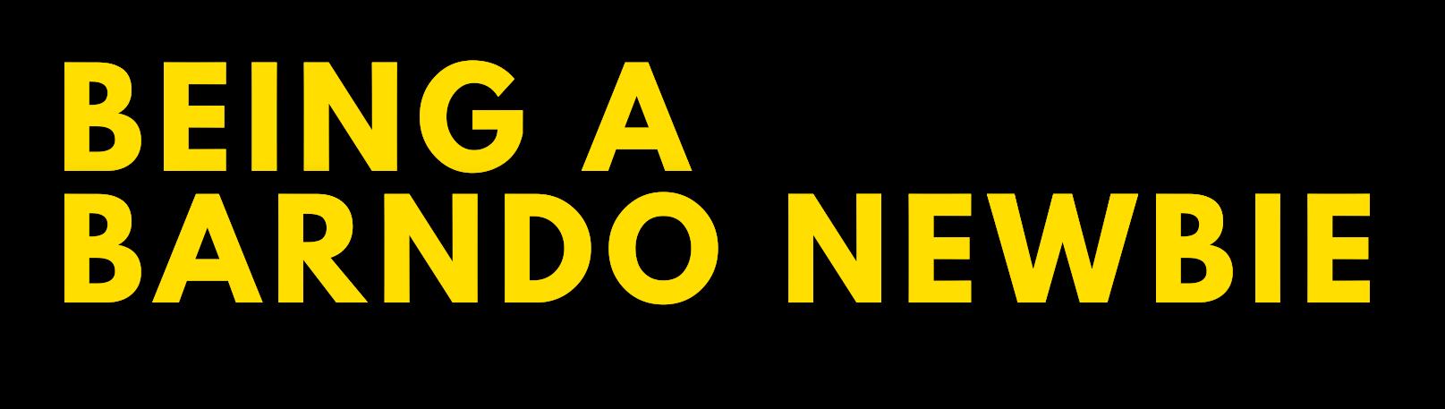 Cover for BEING A BARNDO NEWBIE