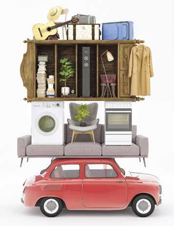 Cover for THE JOY OF DOWNSIZING