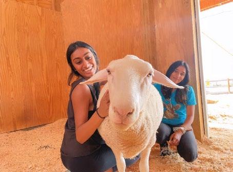 Cover for Learning to be Compassionate at Luvin Arms By Mihika Shah