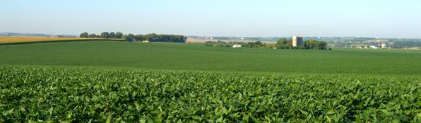 Cover for Why Membership Matters