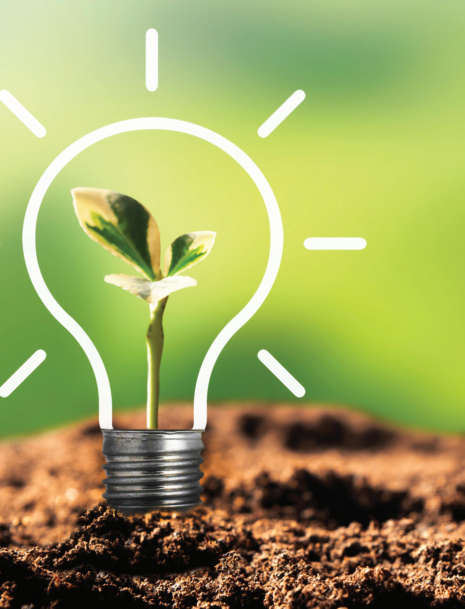 Cover for 25 Quick & Easy