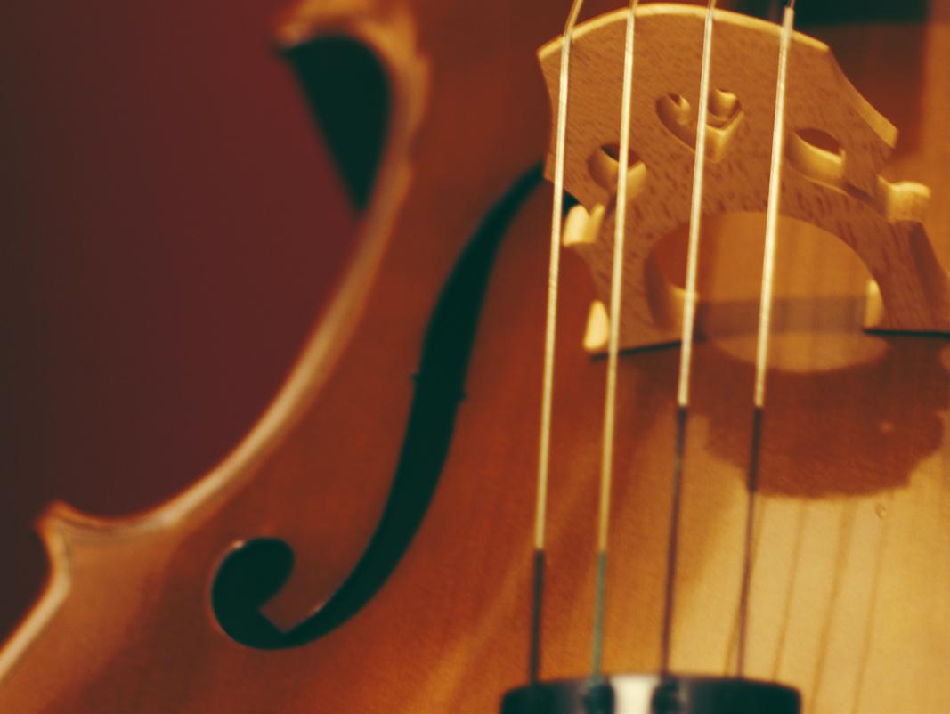 Cover for Annual Fund Donors