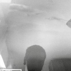 Cover for Sylvia Schedelbauer: expérimentations, flicker et poésie