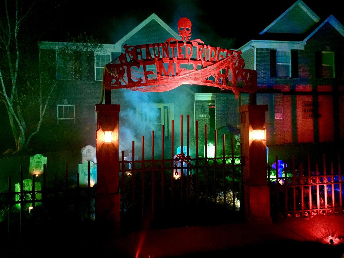 Cover for Homemade Horror