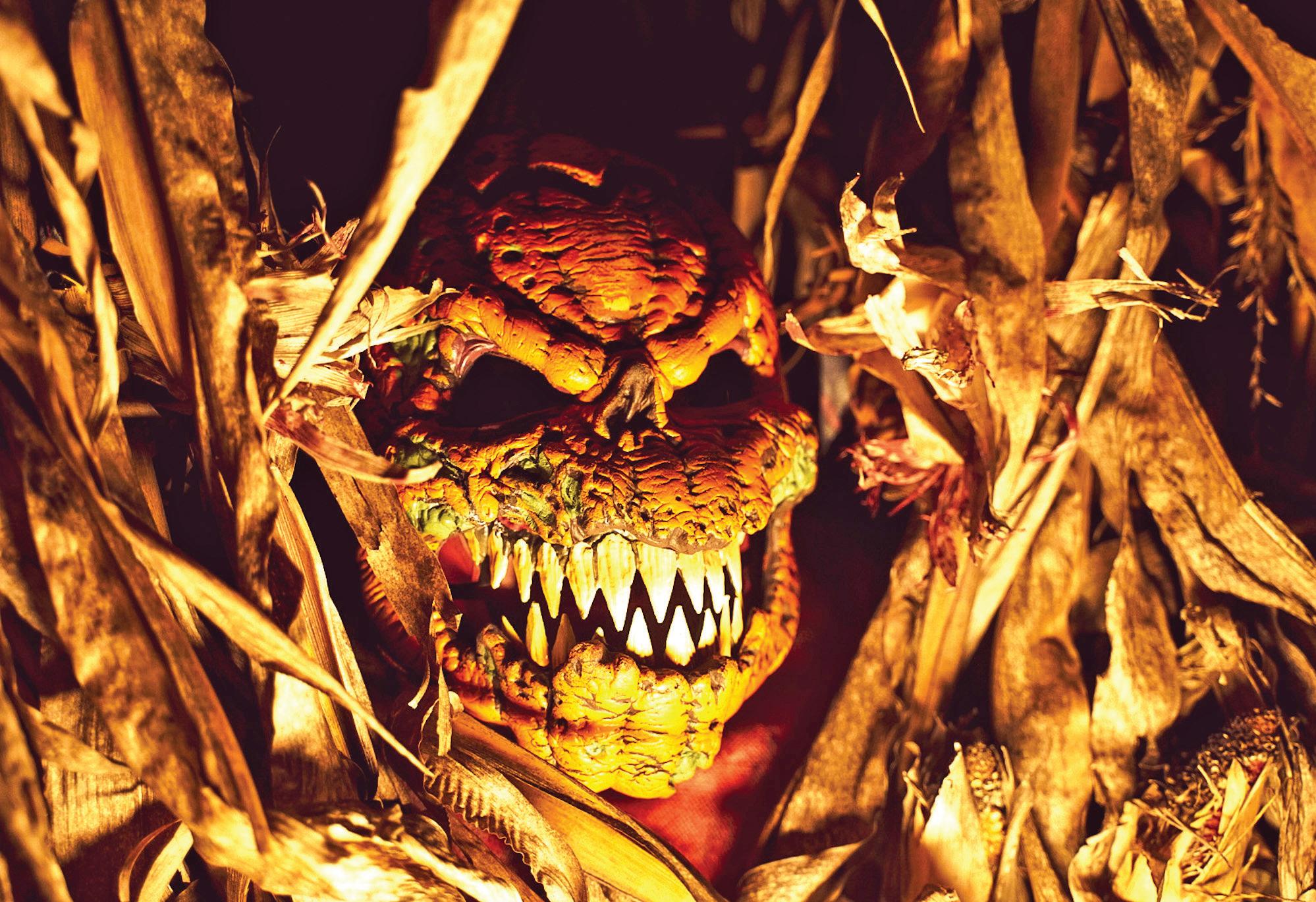 Cover for Get Your Creep On