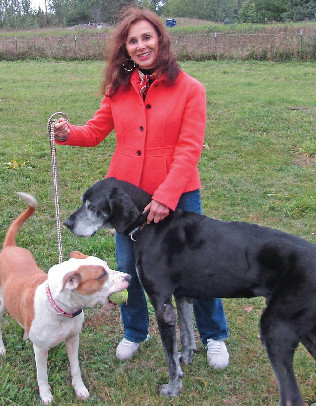 Cover for Don’t Call it Puppy Love