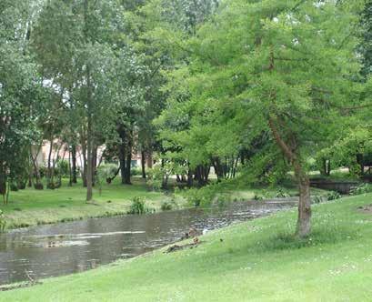 Cover for Projet La compensation, deuxième lame de la neutralité carbone