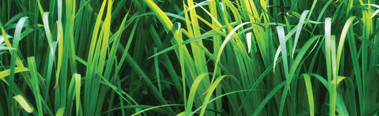 Cover for Fantastic family trip to the tip – Part 3 . . . . . . . . . . . . . . . . . by Craig Tomkinson