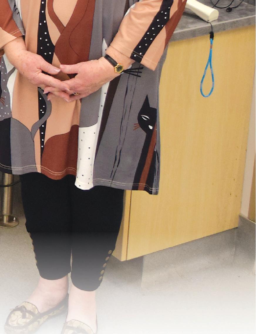 Cover for Animals & Their Allies