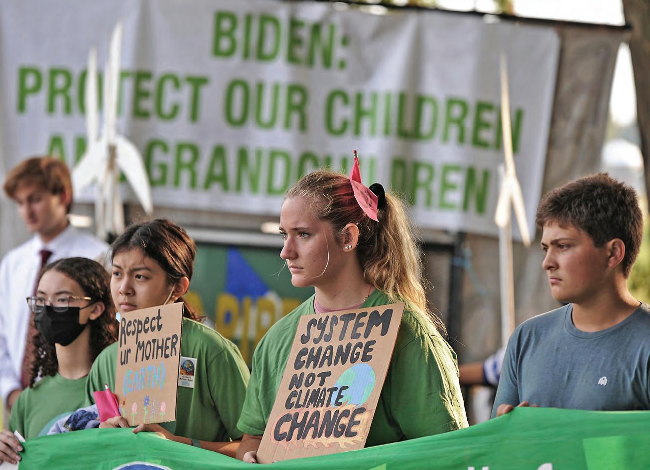 Cover for The Green Team