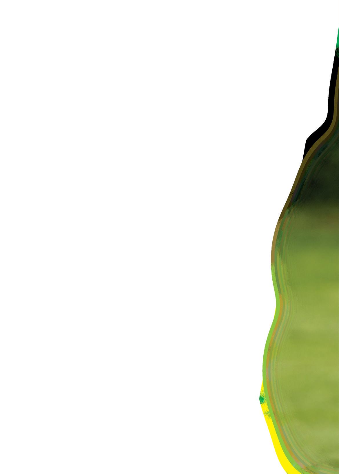 Cover for Meet the New President